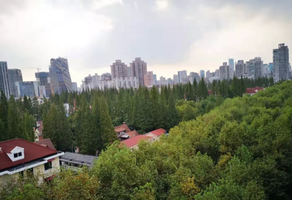 上海新華路花園洋房出租，246㎡獨(dú)棟