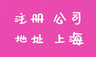 上海注冊(cè)公司成功后怎么進(jìn)行查詢？