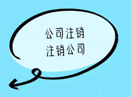 網(wǎng)上可以異地注銷公司嗎？