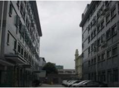 上海梅隴科技信息園助力企業(yè)跨越發(fā)展，筑夢(mèng)科技未來(lái)